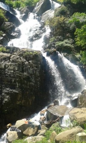 Nature